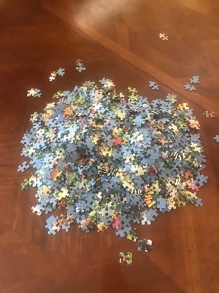 The Things I Learned from Jigsaw Puzzles