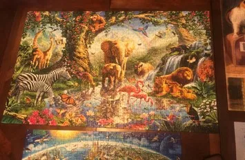 The Things I Learned from Jigsaw Puzzles